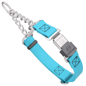 Sky Blue martingale dog collar with silver Herm Sprenger buckle and silver hardware, 1 inch wide, made from Biothane