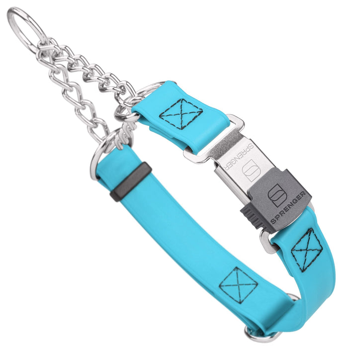 Sky Blue martingale dog collar with silver Herm Sprenger buckle and silver hardware, 1 inch wide, made from Biothane