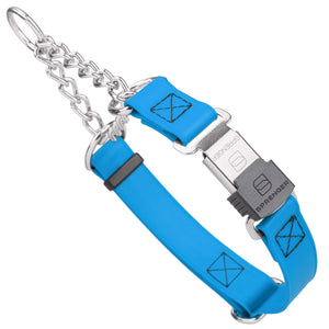 Cerulean Blue martingale dog collar with silver Herm Sprenger buckle and silver hardware, 1 inch wide, made from Biothane