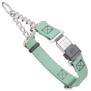 Sage Green martingale dog collar with silver Herm Sprenger buckle and silver hardware, 1 inch wide, made from Biothane