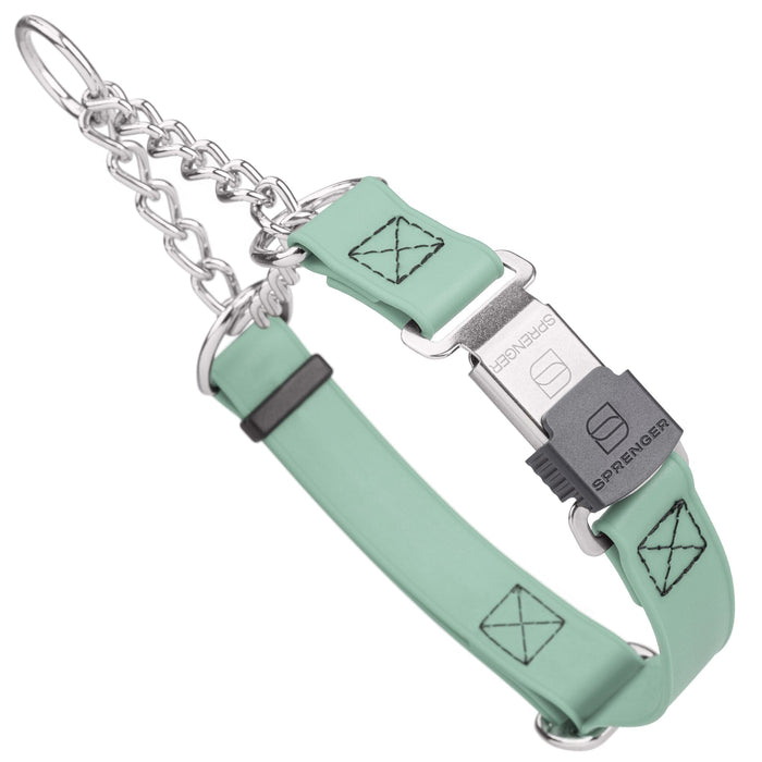 Sage Green martingale dog collar with silver Herm Sprenger buckle and silver hardware, 1 inch wide, made from Biothane