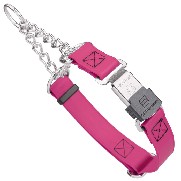 Magenta Pink martingale dog collar with silver Herm Sprenger buckle and silver hardware, 1 inch wide, made from Biothane