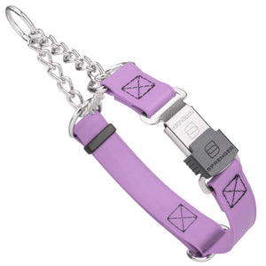 Amethyst Purple martingale dog collar with silver Herm Sprenger buckle and silver hardware, 1 inch wide, made from Biothane