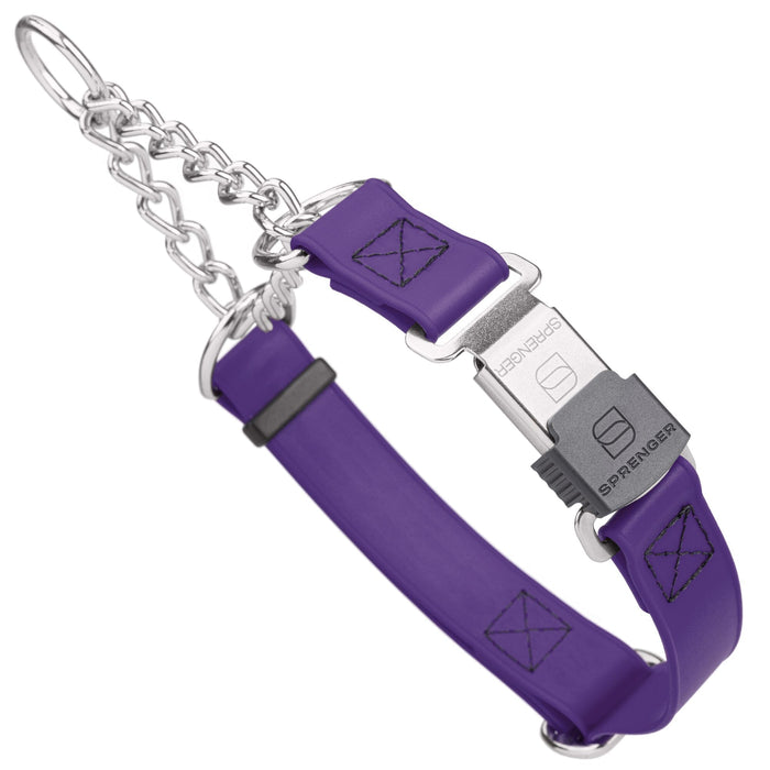 Violet Purple martingale dog collar with silver Herm Sprenger buckle and silver hardware, 1 inch wide, made from Biothane