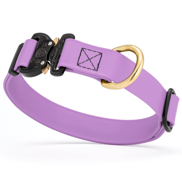 Amethyst Purple Biothane dog collar with Cobra buckle and D-ring, waterproof, adjustable