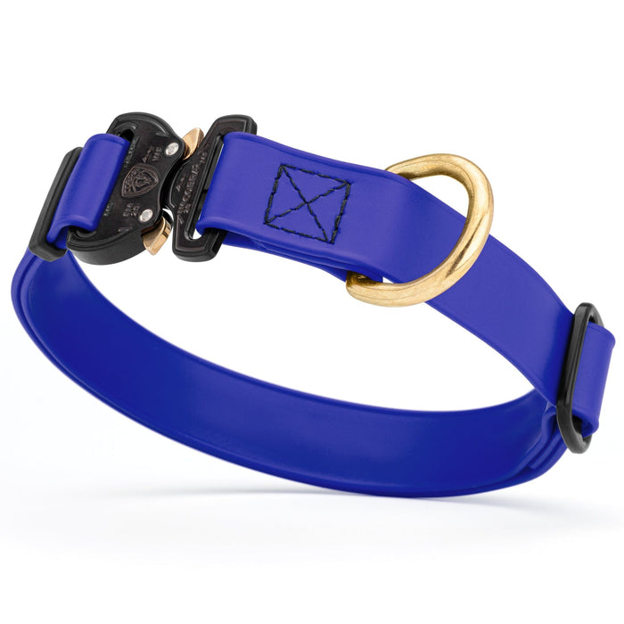 Blueberry Biothane dog collar with Cobra buckle and D-ring, waterproof, adjustable