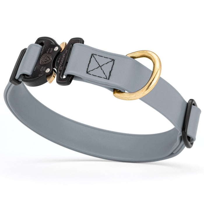 Battleship Gray Biothane dog collar with Cobra buckle and D-ring, waterproof, adjustable