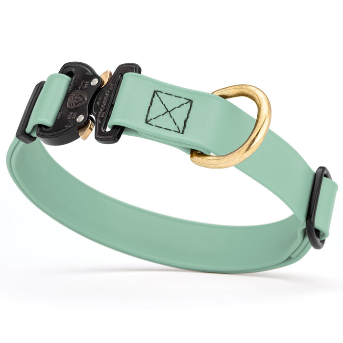 Sage Green Biothane dog collar with Cobra buckle and D-ring, waterproof, adjustable