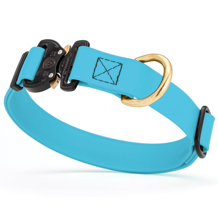 Sky Blue Biothane dog collar with Cobra buckle and D-ring, waterproof, adjustable