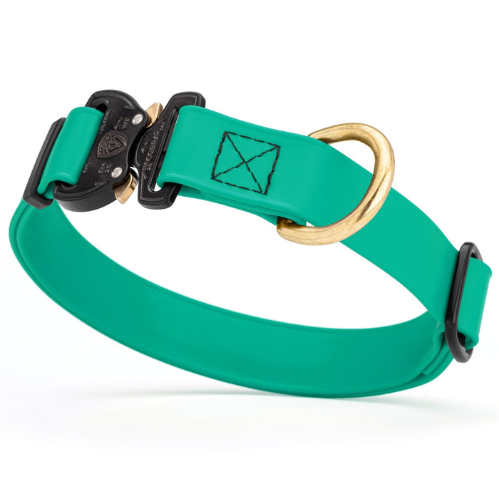 Teal Biothane dog collar with Cobra buckle and D-ring, waterproof, adjustable