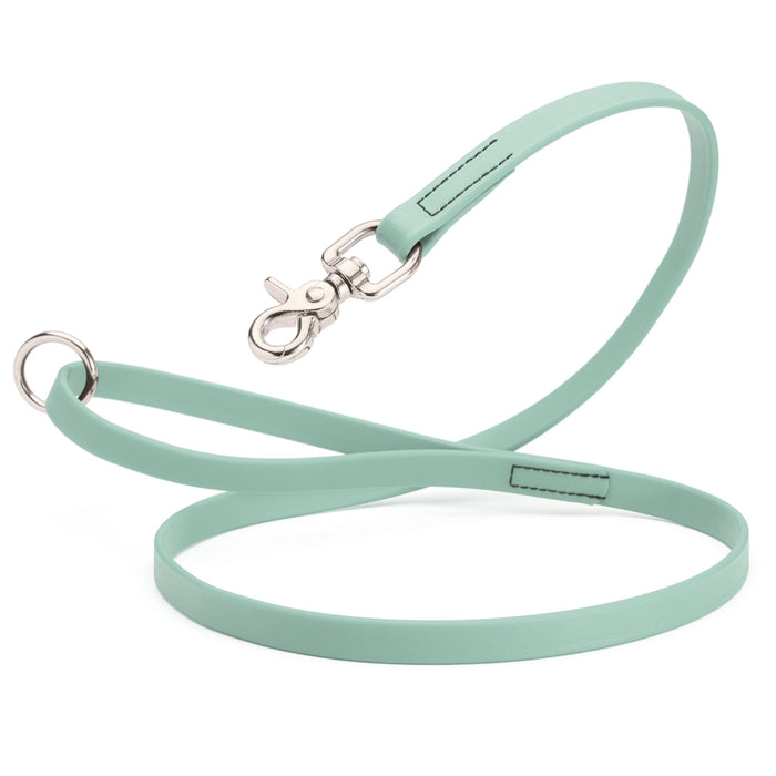 Biothane Dog Leash with Nickel Scissor Snap – 4 FT and 6 FT