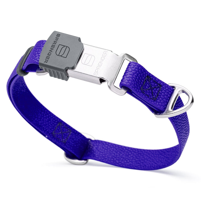Pebble embossed Biothane dog collar with Herm Sprenger Cliclock silver buckle, 3/4 inch wide, Blueberry Royal