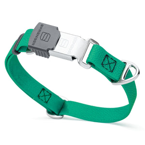 Pebble embossed Biothane dog collar with Herm Sprenger Cliclock silver buckle, 3/4 inch wide, Teal