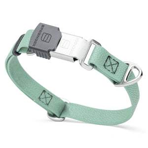 Pebble embossed Biothane dog collar with Herm Sprenger Cliclock silver buckle, 3/4 inch wide, Sage Green