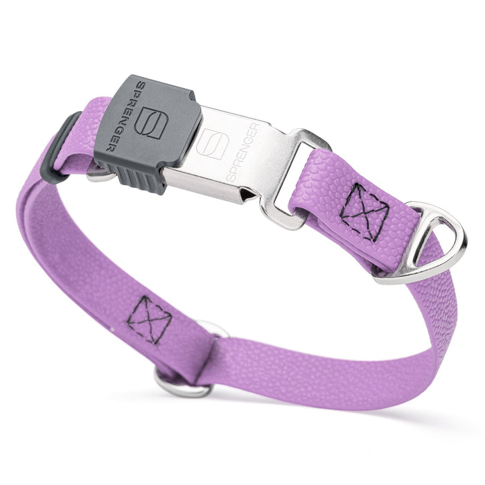 Pebble embossed Biothane dog collar with Herm Sprenger Cliclock silver buckle, 3/4 inch wide, Amethyst Purple