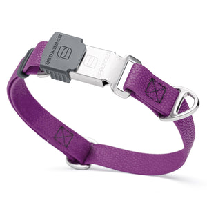 Pebble embossed Biothane dog collar with Herm Sprenger Cliclock silver buckle, 3/4 inch wide, Grape Purple