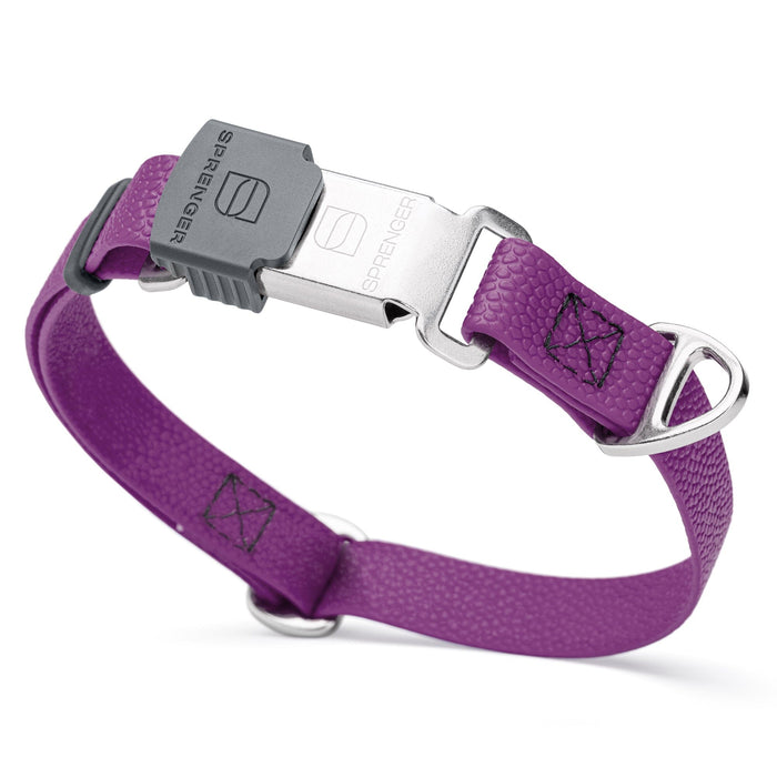 Pebble embossed Biothane dog collar with Herm Sprenger Cliclock silver buckle, 3/4 inch wide, Grape Purple