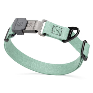 Sage Green Biothane dog collar with pebble textured coating and Herm Sprenger ClicLock black buckle, 1 inch wide, adjustable