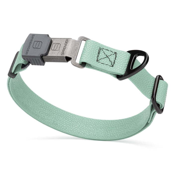 Sage Green Biothane dog collar with pebble textured coating and Herm Sprenger ClicLock black buckle, 1 inch wide, adjustable