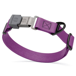 Grape Purple Biothane dog collar with pebble textured coating and Herm Sprenger ClicLock black buckle, 1 inch wide, adjustable