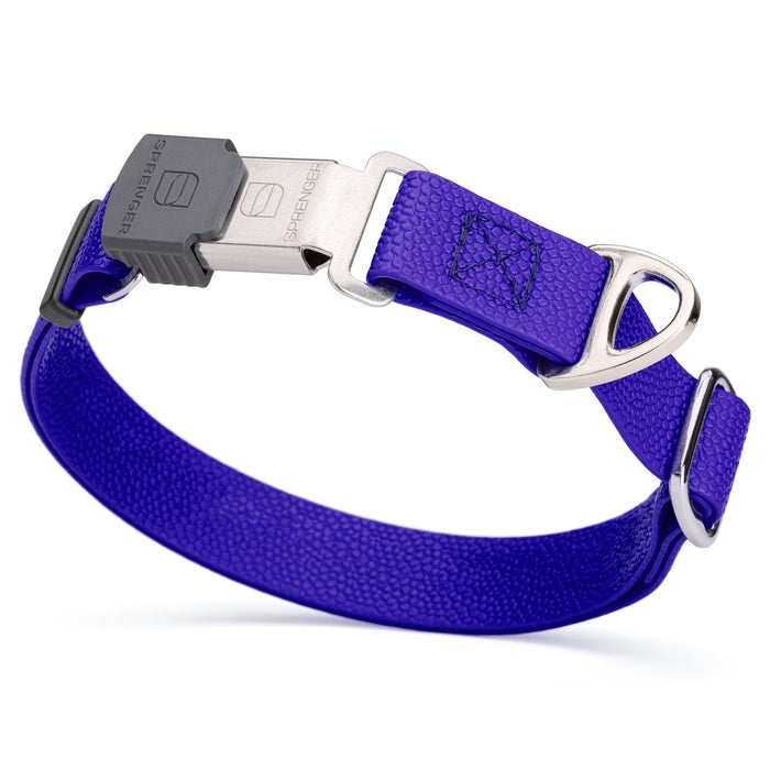 1 inch Biothane dog collar with pebble embossed coating and Herm Sprenger Cliclock buckle, 1 inch wide, Blueberry 