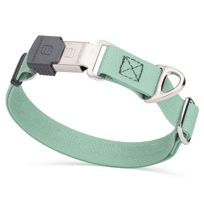 1 inch Biothane dog collar with pebble embossed coating and Herm Sprenger Cliclock buckle, 1 inch wide, Sage Green