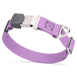 1 inch Biothane dog collar with pebble embossed coating and Herm Sprenger Cliclock buckle, 1 inch wide, Amethyst Purple