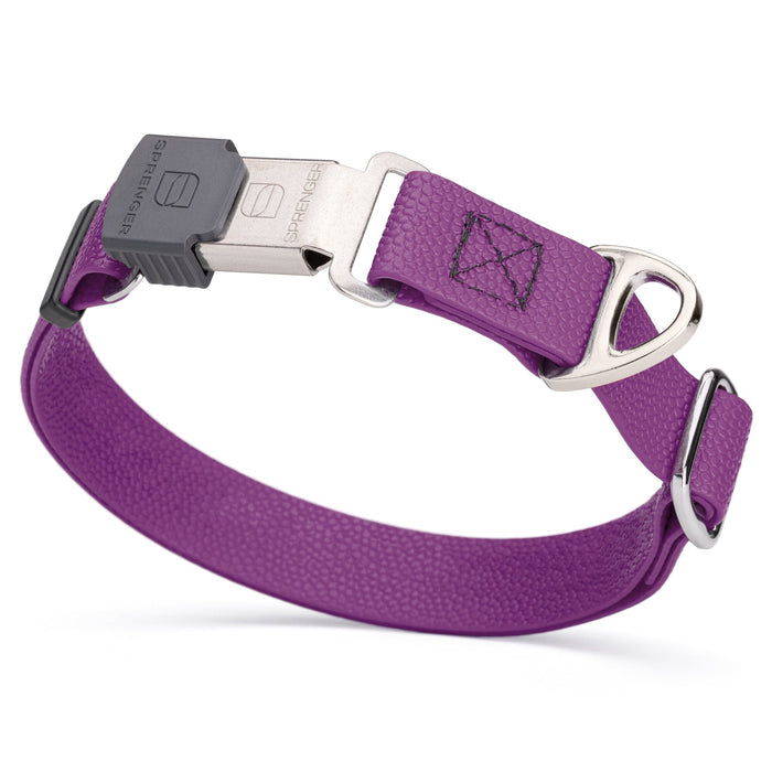 1 inch Biothane dog collar with pebble embossed coating and Herm Sprenger Cliclock buckle, 1 inch wide, Grape Purple