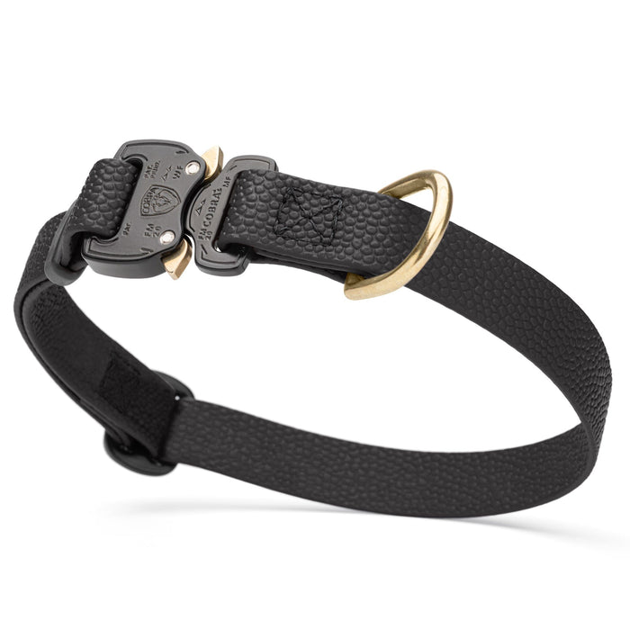 Black Biothane dog collar with pebbled coating, Cobra buckle, and brass D-ring, 3/4 inch wide, adjustable