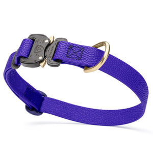 Blueberry Biothane dog collar with pebbled coating, Cobra buckle, and brass D-ring, 3/4 inch wide, adjustable