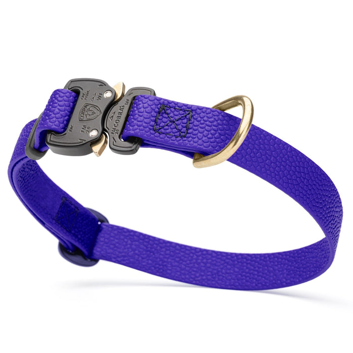 Blueberry Biothane dog collar with pebbled coating, Cobra buckle, and brass D-ring, 3/4 inch wide, adjustable