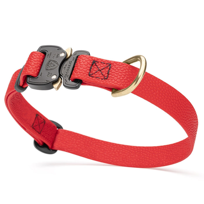 Cherry Red Biothane dog collar with pebbled coating, Cobra buckle, and brass D-ring, 3/4 inch wide, adjustable