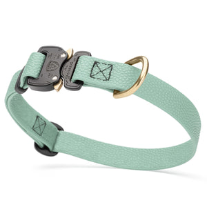 Sage Green Biothane dog collar with pebbled coating, Cobra buckle, and brass D-ring, 3/4 inch wide, adjustable