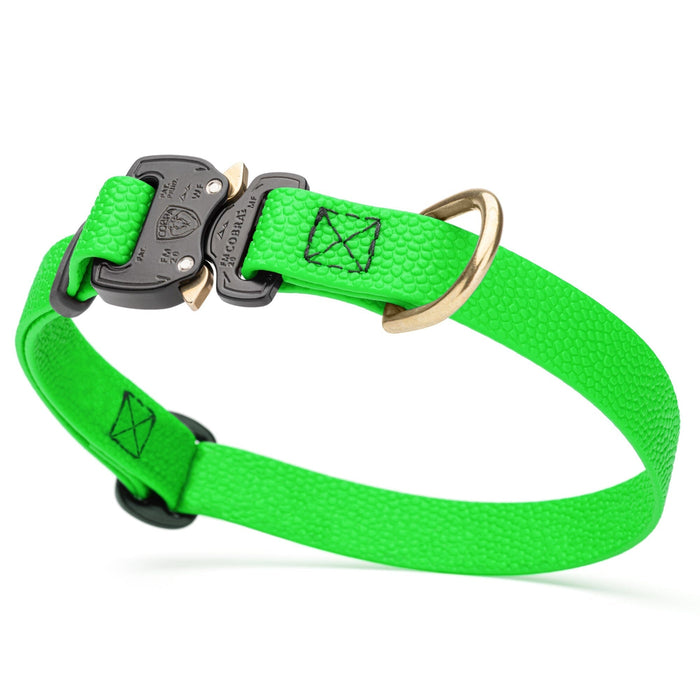 Tropical Green Biothane dog collar with pebbled coating, Cobra buckle, and brass D-ring, 3/4 inch wide, adjustable