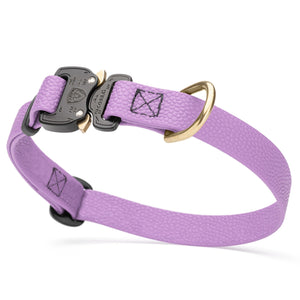 Amethyst Purple Biothane dog collar with pebbled coating, Cobra buckle, and brass D-ring, 3/4 inch wide, adjustable