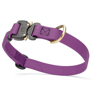 Grape Purple Biothane dog collar with pebbled coating, Cobra buckle, and brass D-ring, 3/4 inch wide, adjustable