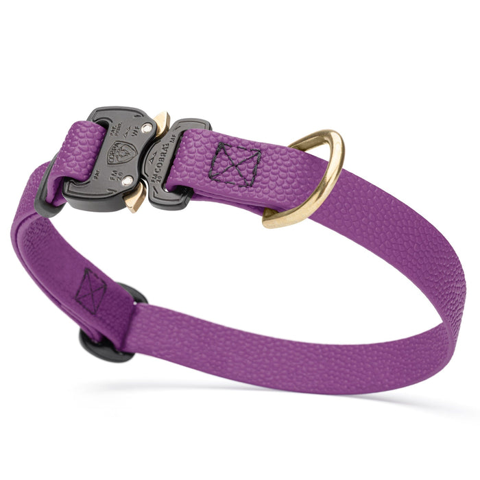 Grape Purple Biothane dog collar with pebbled coating, Cobra buckle, and brass D-ring, 3/4 inch wide, adjustable