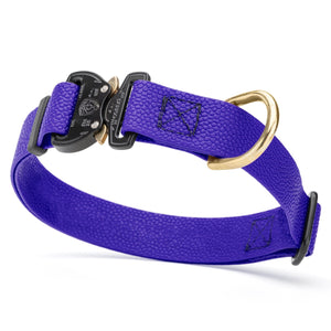 Blueberry Pebble Grip Biothane dog collar with Cobra buckle and brass D-ring, 1 inch wide, adjustable