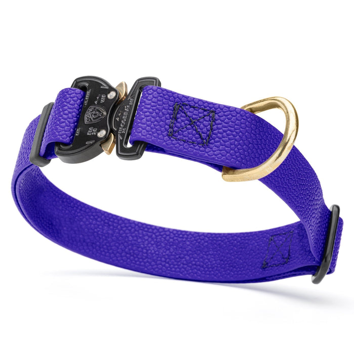 Blueberry Pebble Grip Biothane dog collar with Cobra buckle and brass D-ring, 1 inch wide, adjustable