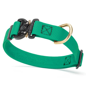 Teal Pebble Grip Biothane dog collar with Cobra buckle and brass D-ring, 1 inch wide, adjustable