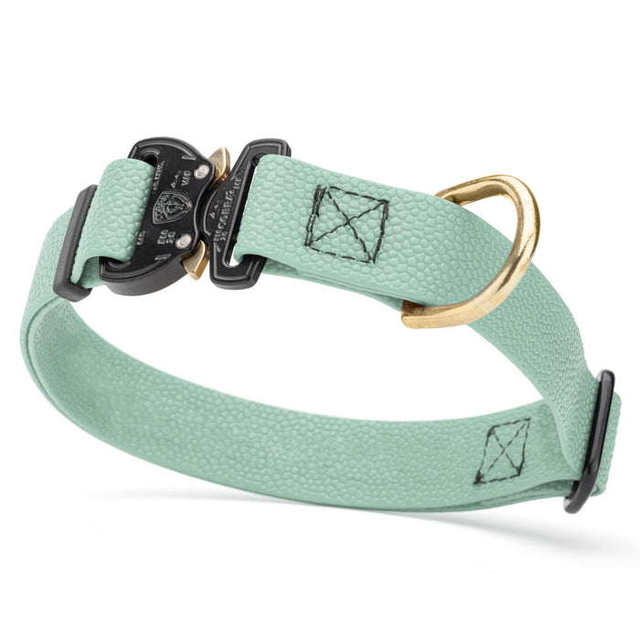 Sage Green Pebble Grip Biothane dog collar with Cobra buckle and brass D-ring, 1 inch wide, adjustable