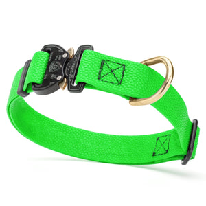 Tropical Green Pebble Grip Biothane dog collar with Cobra buckle and brass D-ring, 1 inch wide, adjustable