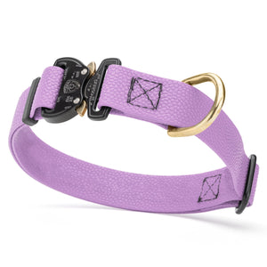 Amethyst Purple Pebble Grip Biothane dog collar with Cobra buckle and brass D-ring, 1 inch wide, adjustable
