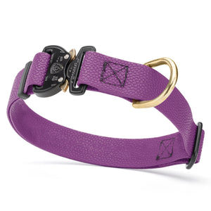 Grape Purple Pebble Grip Biothane dog collar with Cobra buckle and brass D-ring, 1 inch wide, adjustable