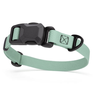 Sage Green Biothane dog collar with pebble textured coating and magnetic buckle, 3/4 inch wide, adjustable length