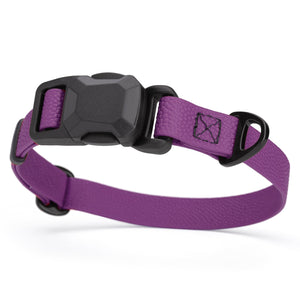 Grape Purple Biothane dog collar with pebble textured coating and magnetic buckle, 3/4 inch wide, adjustable length