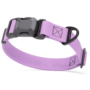 Pebble Biothane dog collar with magnetic buckle and metal D-ring, 1 inch wide, Amethyst Purple