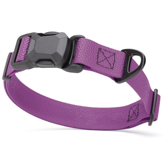 Pebble Biothane dog collar with magnetic buckle and metal D-ring, 1 inch wide, Grape Purple