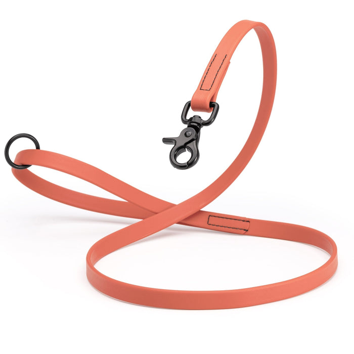 Long Line Biothane Dog Lead with Black Scissor Snap