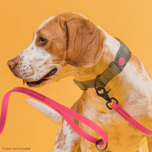 Long Line Biothane Dog Lead with Black Scissor Snap